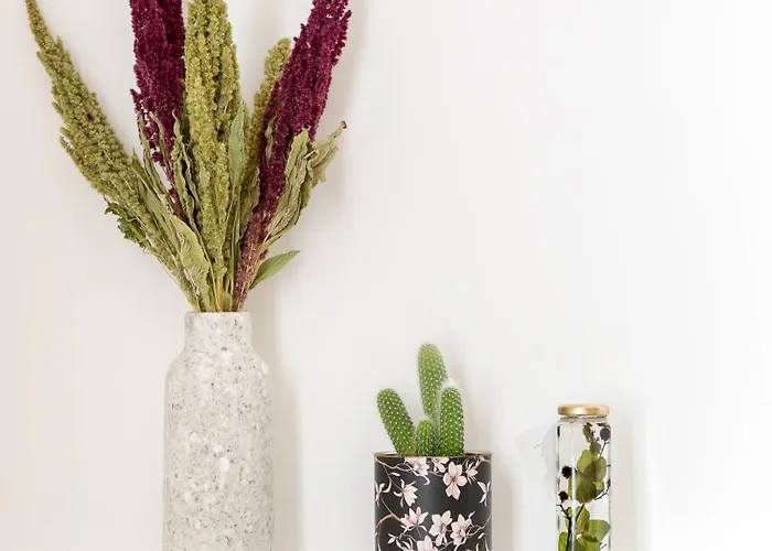 Habitat Parisien - Montorgueil